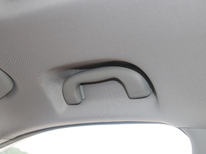 201720T ԄTrophyW V g