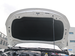 201720T ԄTrophyW V 