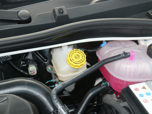 201720T ԄTrophyW V 