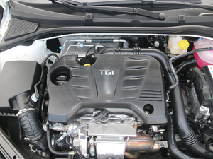 201720T ԄTrophyW V 