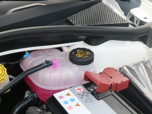 201720T ԄTrophyW V 