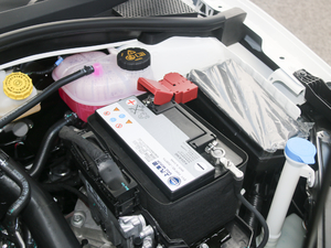 201720T ԄTrophyW V 