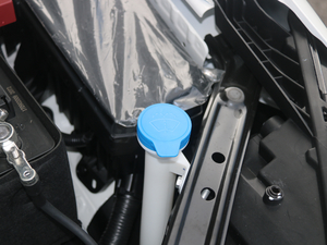 201720T ԄTrophyW V 