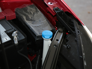 201720T Ԅ(dng)(lin)W(wng) (gu)V 