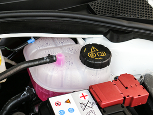 201720T Ԅ(dng)Ӣ(lin) V 