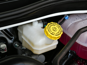 201720T Ԅ(dng)Ӣ(lin) V 