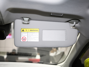 201845T E-DRIVE PILOT(lin)W(wng) g