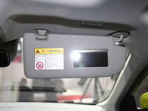 201845T E-DRIVE PILOT(lin)W(wng) g