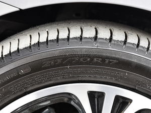 201845T E-DRIVE(q) PILOT(lin)W(wng) ݆̥ߴ