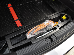 201845T E-DRIVE PILOTW g