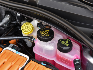 201845T E-DRIVE PILOTW 