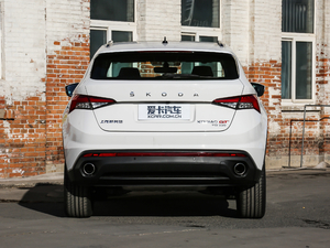 2019款TSI330 豪华版 国V 正后	