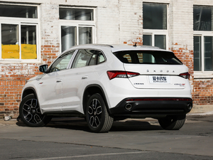 2019款TSI330 豪华版 国V 左后45度