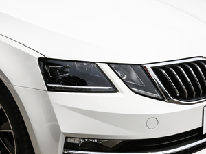 2019280TSI DSGкA (gu)VI (x)(ji)^