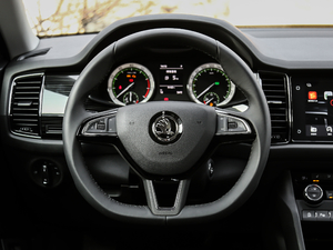 2019TSI330 7(q)A(yu) (gu)VI P