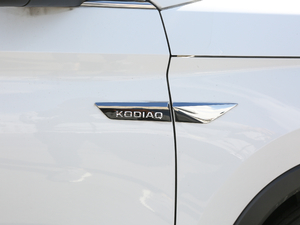 2019Ŀ TSI380 7Ş V ^