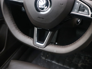 2019TSI380 DSGŞ п؅^