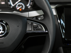 2019TSI280 DSGm п؅^