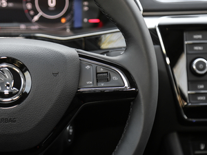 2019TSI330 DSGA п؅^(q)