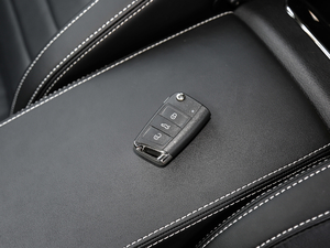 2019TSI330 DSGA ܇耳