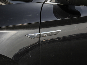 2019TSI330 DSGm (ji)^