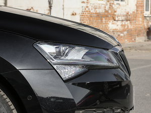 2019TSI330 DSGm (ji)^