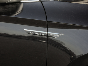 2019TSI330 DSGm (ji)^