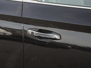 2019TSI330 DSGm (ji)^