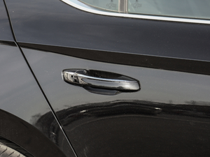 2019TSI330 DSGm (ji)^