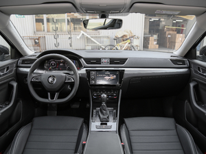 2019TSI330 DSGm (ni)ȫ