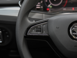 2019TSI330 DSGm п؅^(q)