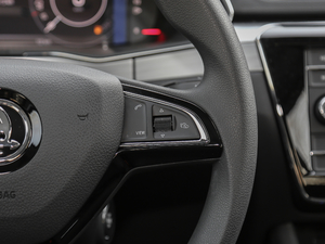 2019TSI330 DSGm п؅^(q)