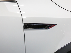 2019TSI280 DSGŞ V ^