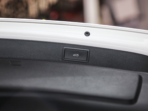 2019TSI280 DSGŞ V g