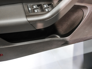 2019TSI280 DSGŞ V g