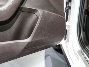 2019TSI280 DSGŞ V g