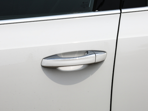 2019TSI280 DSGA V {T