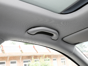 2019TSI280 DSGA (gu)V g