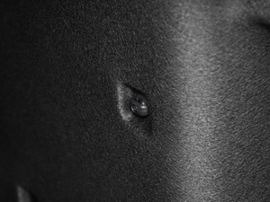 2019TSI280 DSGA (gu)V g