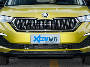 2020款GT 1.5L 自动旗舰版 中网