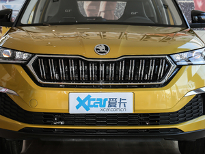 2020款GT TSI230 DSG旗舰版 中网
