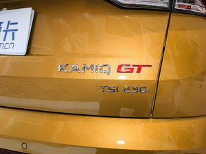 2020GT TSI230 DSGŞ ^