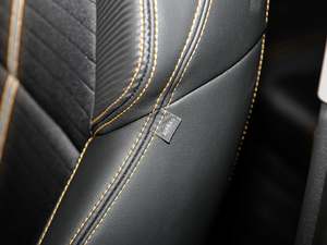 2020GT TSI230 DSGŞ g