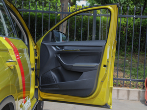 2020Ŀ GT TSI230 DSGŞ g