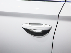 2020Ŀ GT 1.5L Ԅm {T