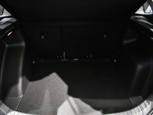 2020Ŀ GT 1.5L Ԅm g