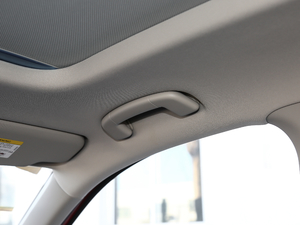 2020Ŀ GT TSI230 DSGŞ g