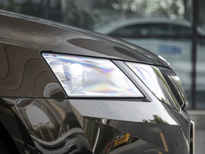 2020TSI230 DSGm (x)(ji)^