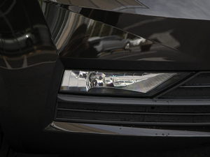 2020TSI230 DSGm (x)(ji)^