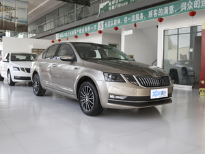 2020TSI230 DSGкA w^